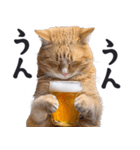 酒ビール！2リアルな猫ミーム（日常）（個別スタンプ：23）