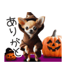 白チワワの秋ハロウィン可愛い日常会話（個別スタンプ：20）