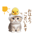 可愛い猫とひよこ 気軽に使える 敬語ver.（個別スタンプ：1）