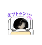 動くノアさんスタンプ（個別スタンプ：6）