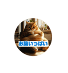 お誘い猫スタンプ（個別スタンプ：12）