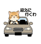 仲良し家族とお友達 ♡ 猫さん編（個別スタンプ：17）