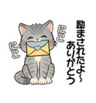 仲良し家族とお友達 ♡ 猫さん編（個別スタンプ：24）