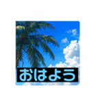 AI ヤシの木と海（個別スタンプ：4）