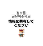 【災害・体調不良時】日韓翻訳スタンプ（個別スタンプ：17）