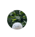 もちまるだよ3（個別スタンプ：3）