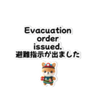 【災害・体調不良時】日英翻訳スタンプ（個別スタンプ：2）