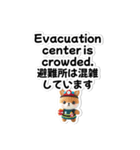 【災害・体調不良時】日英翻訳スタンプ（個別スタンプ：12）