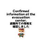 【災害・体調不良時】日英翻訳スタンプ（個別スタンプ：19）