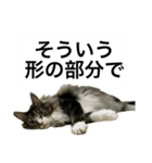 うちのゲベナマ4（個別スタンプ：8）