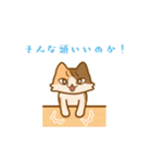 圧倒的知的な猫派2（個別スタンプ：6）