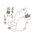 【毎日使える】白猫とブチ猫のご挨拶（個別スタンプ：2）