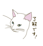 【毎日使える】白猫とブチ猫のご挨拶（個別スタンプ：10）