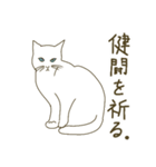 【毎日使える】白猫とブチ猫のご挨拶（個別スタンプ：13）