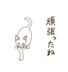 【毎日使える】白猫とブチ猫のご挨拶（個別スタンプ：15）