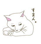 【毎日使える】白猫とブチ猫のご挨拶（個別スタンプ：19）