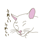 【毎日使える】白猫とブチ猫のご挨拶（個別スタンプ：25）