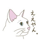 【毎日使える】白猫とブチ猫のご挨拶（個別スタンプ：27）