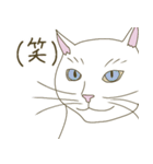 【毎日使える】白猫とブチ猫のご挨拶（個別スタンプ：28）