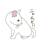 【毎日使える】白猫とブチ猫のご挨拶（個別スタンプ：29）