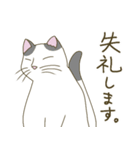 【毎日使える】白猫とブチ猫のご挨拶（個別スタンプ：33）