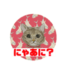 クルミさんの似顔絵スタンプ（個別スタンプ：1）