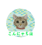 クルミさんの似顔絵スタンプ（個別スタンプ：3）