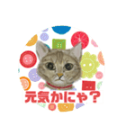 クルミさんの似顔絵スタンプ（個別スタンプ：5）