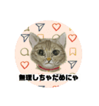 クルミさんの似顔絵スタンプ（個別スタンプ：9）