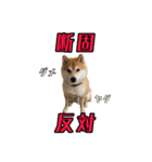 どんが気持ちを伝える（個別スタンプ：4）