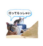 とびちゃん＆つづまるスタンプ（個別スタンプ：4）