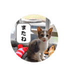 とびちゃん＆つづまるスタンプ（個別スタンプ：7）
