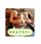 とびちゃん＆つづまるスタンプ（個別スタンプ：8）