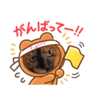 とびちゃん＆つづまるスタンプ（個別スタンプ：12）
