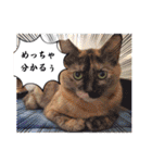 とびちゃん＆つづまるスタンプ（個別スタンプ：22）