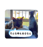 とびちゃん＆つづまるスタンプ（個別スタンプ：24）