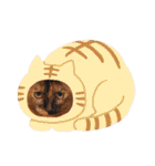 とびちゃん＆つづまるスタンプ（個別スタンプ：30）