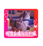 とびちゃん＆つづまるスタンプ（個別スタンプ：31）