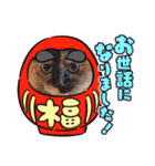 とびちゃん＆つづまるスタンプ（個別スタンプ：37）