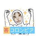 とびちゃん＆つづまるスタンプ（個別スタンプ：39）