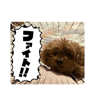 かわいいジェ2(修正)（個別スタンプ：1）
