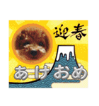 かわいいジェ2(修正)（個別スタンプ：4）