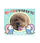 かわいいジェ2(修正)（個別スタンプ：5）