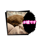 かわいいジェ2(修正)（個別スタンプ：6）