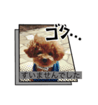 かわいいジェ2(修正)（個別スタンプ：7）