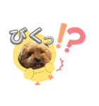 かわいいジェ2(修正)（個別スタンプ：8）