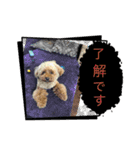 かわいいジェ2(修正)（個別スタンプ：9）