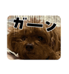 かわいいジェ2(修正)（個別スタンプ：11）