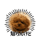 かわいいジェ2(修正)（個別スタンプ：12）