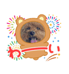 かわいいジェ2(修正)（個別スタンプ：13）